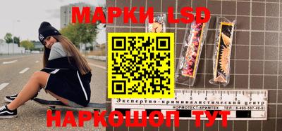 СК Камышлов
