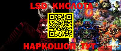 СК Камышлов