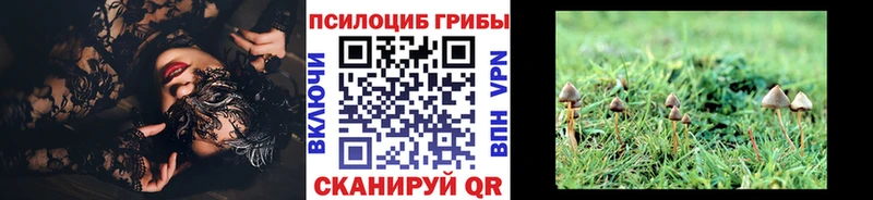 Галлюциногенные грибы прущие грибы  Юрга 
