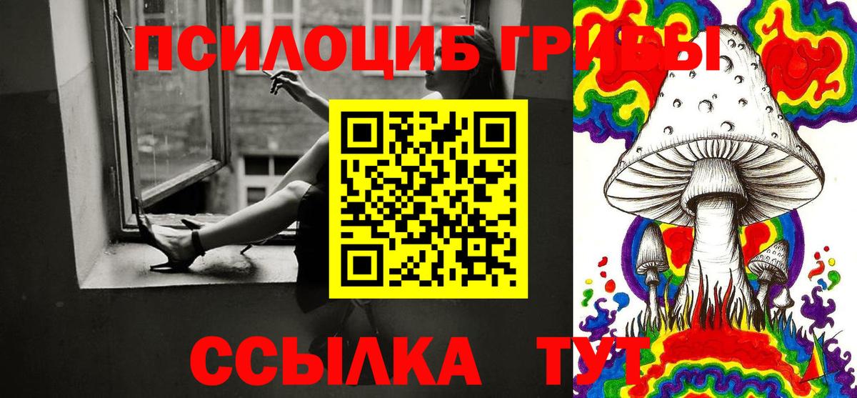 Псилоцибиновые грибы Cubensis  Псилоцибиновые грибы мицелий  Юрга  Вход с VPN 