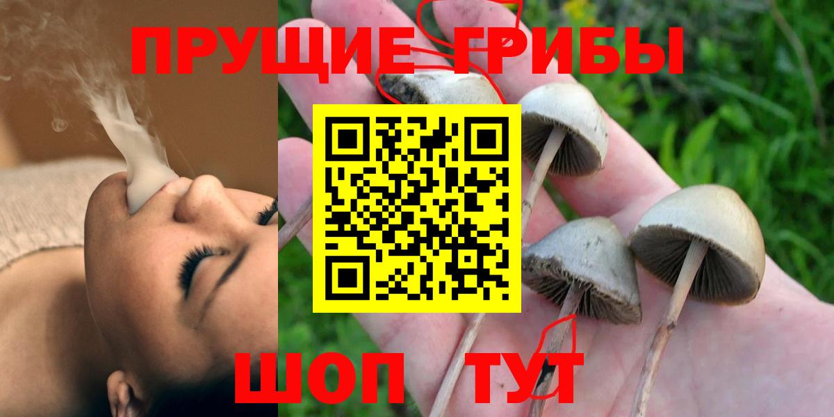 Галлюциногенные грибы мухоморы Юрга